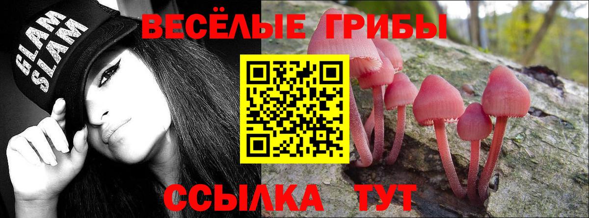 Галлюциногенные грибы Psilocybine cubensis  Вход с VPN  Обь 