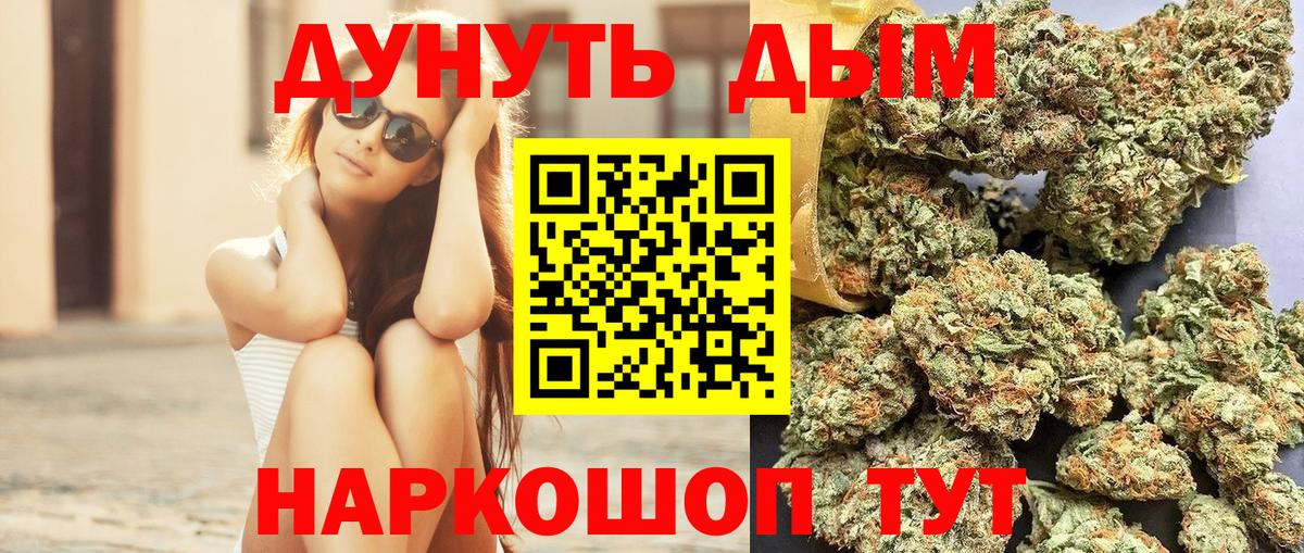 Каннабис индика Обь
